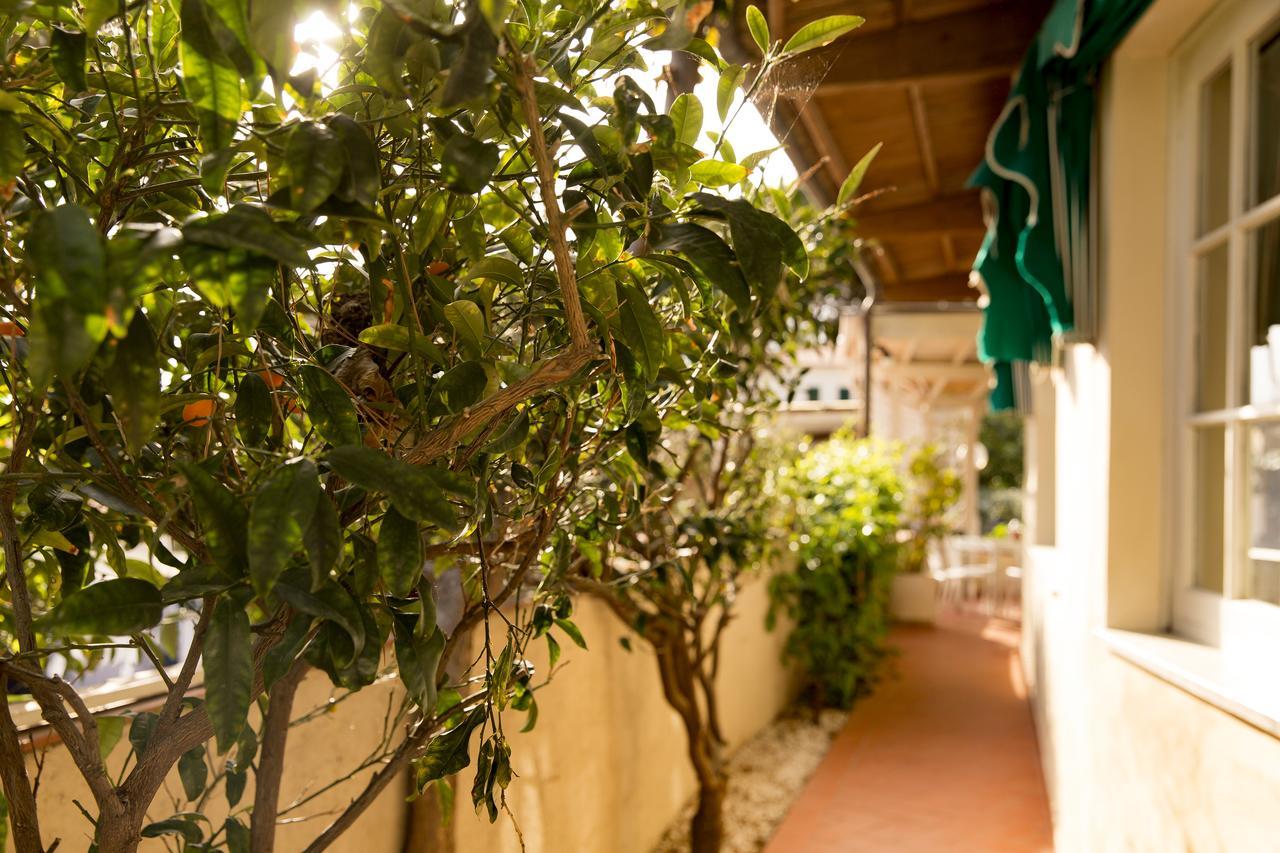 Hotel Corallo Pomonte Εξωτερικό φωτογραφία